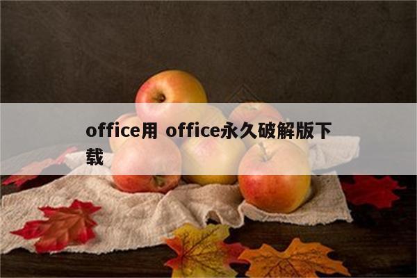 office用 office永久破解版下载