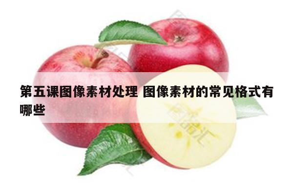 第五课图像素材处理 图像素材的常见格式有哪些