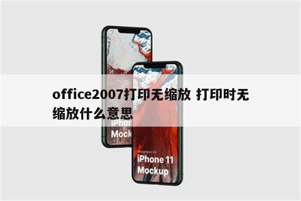 office2007打印无缩放 打印时无缩放什么意思