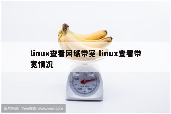 linux查看网络带宽 linux查看带宽情况