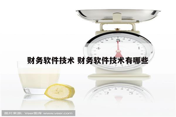 财务软件技术 财务软件技术有哪些