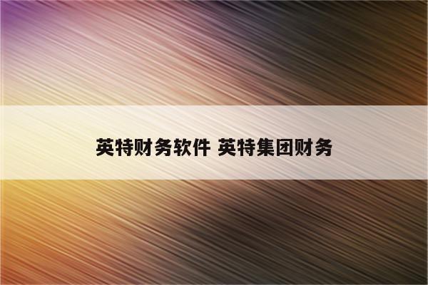 英特财务软件 英特集团财务