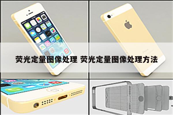 荧光定量图像处理 荧光定量图像处理方法