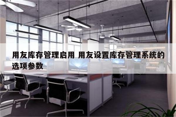 用友库存管理启用 用友设置库存管理系统的选项参数