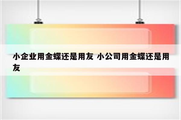 小企业用金蝶还是用友 小公司用金蝶还是用友