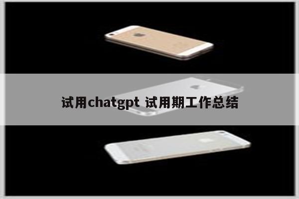 试用chatgpt 试用期工作总结