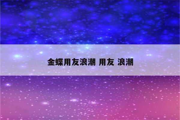 金蝶用友浪潮 用友 浪潮