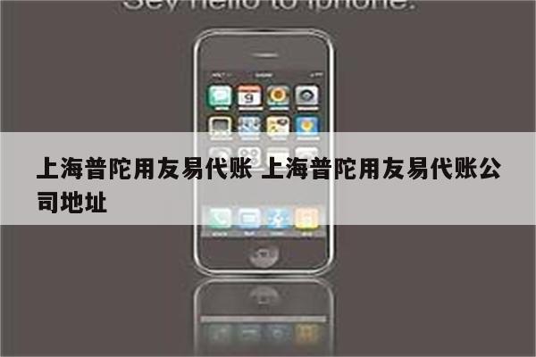 上海普陀用友易代账 上海普陀用友易代账公司地址