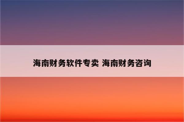 海南财务软件专卖 海南财务咨询