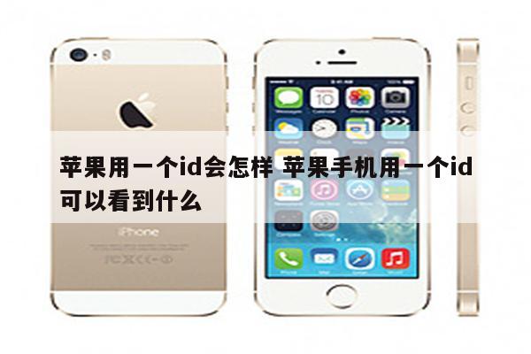 苹果用一个id会怎样 苹果手机用一个id可以看到什么