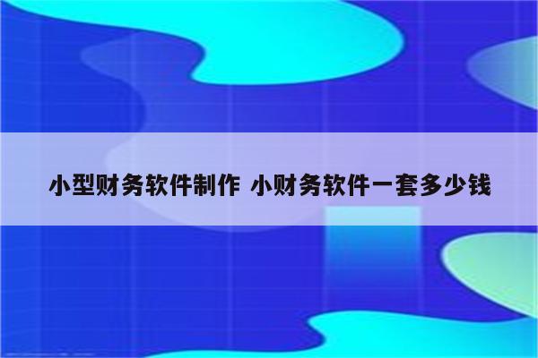 小型财务软件制作 小财务软件一套多少钱