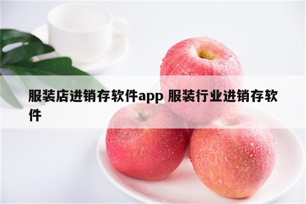 服装店进销存软件app 服装行业进销存软件