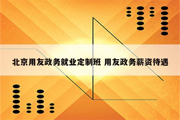 北京用友政务就业定制班 用友政务薪资待遇
