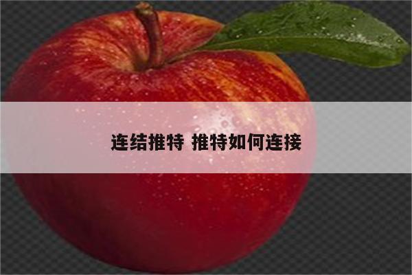 连结推特 推特如何连接