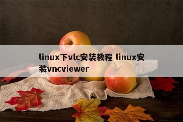 linux下vlc安装教程 linux安装vncviewer