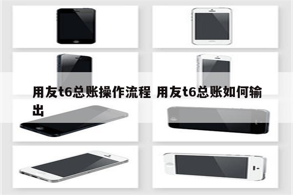 用友t6总账操作流程 用友t6总账如何输出