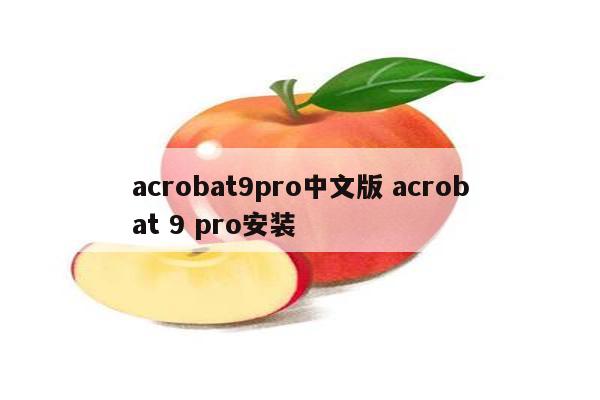 acrobat9pro中文版 acrobat 9 pro安装
