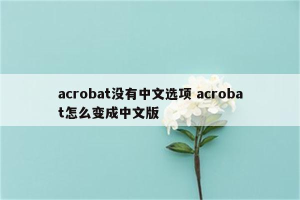 acrobat没有中文选项 acrobat怎么变成中文版