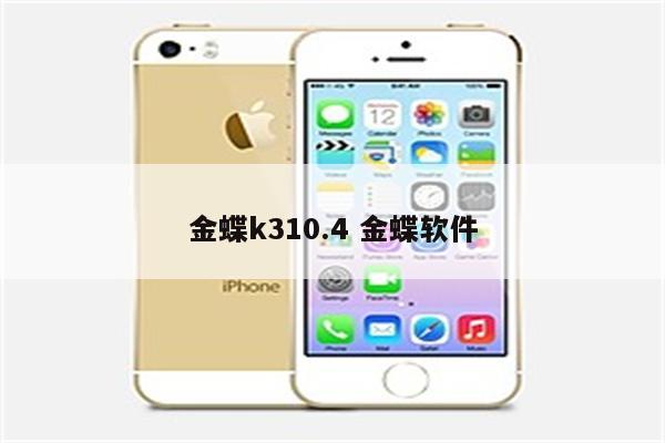 金蝶k310.4 金蝶软件