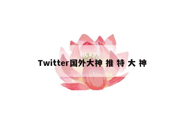 Twitter国外大神 推 特 大 神