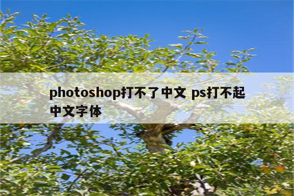 photoshop打不了中文 ps打不起中文字体