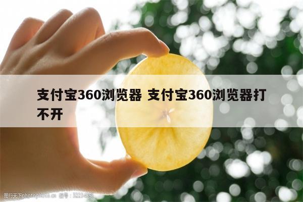 支付宝360浏览器 支付宝360浏览器打不开