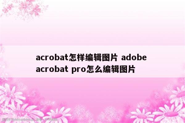 acrobat怎样编辑图片 adobe acrobat pro怎么编辑图片