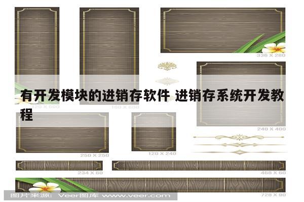 有开发模块的进销存软件 进销存系统开发教程