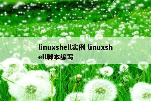 linuxshell实例 linuxshell脚本编写