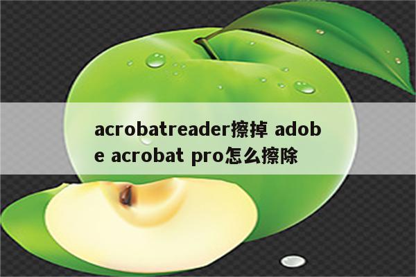acrobatreader擦掉 adobe acrobat pro怎么擦除