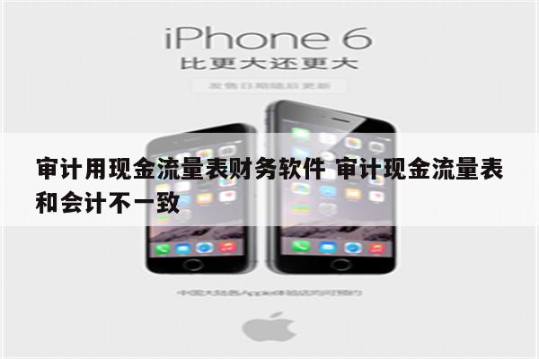 审计用现金流量表财务软件 审计现金流量表和会计不一致