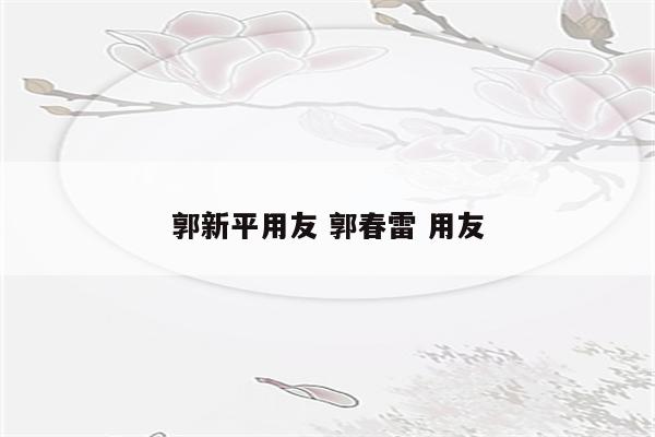 郭新平用友 郭春雷 用友