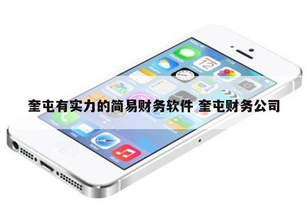 奎屯有实力的简易财务软件 奎屯财务公司