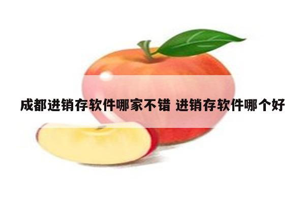 成都进销存软件哪家不错 进销存软件哪个好