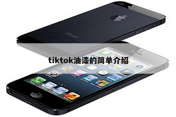tiktok油漆的简单介绍