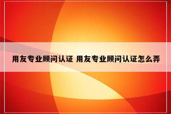 用友专业顾问认证 用友专业顾问认证怎么弄