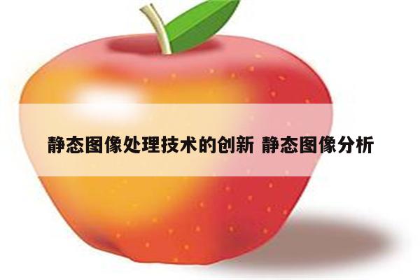 静态图像处理技术的创新 静态图像分析