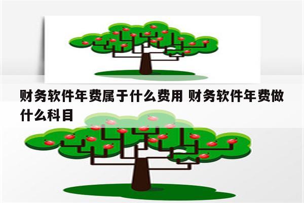 财务软件年费属于什么费用 财务软件年费做什么科目