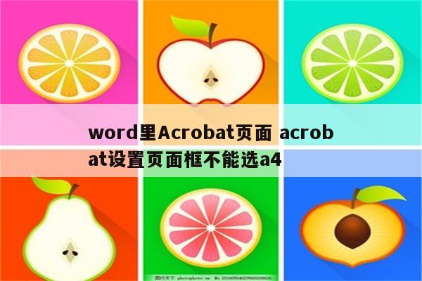 word里Acrobat页面 acrobat设置页面框不能选a4