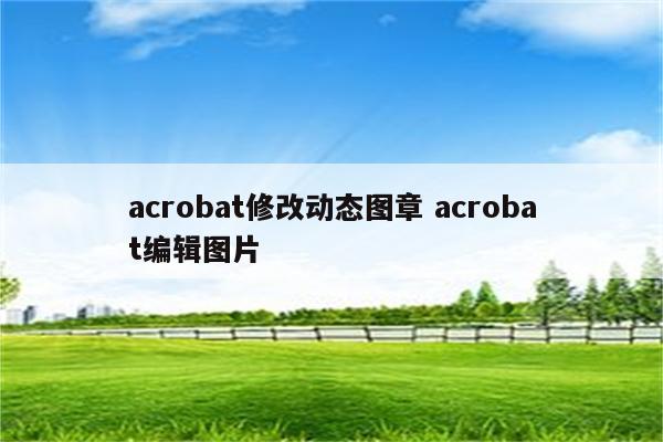 acrobat修改动态图章 acrobat编辑图片