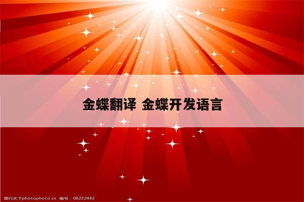 金蝶翻译 金蝶开发语言