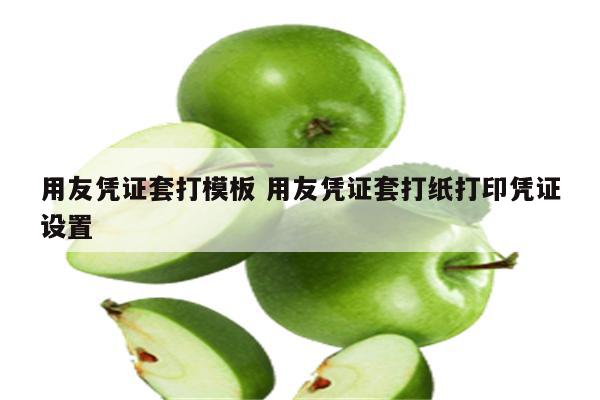 用友凭证套打模板 用友凭证套打纸打印凭证设置
