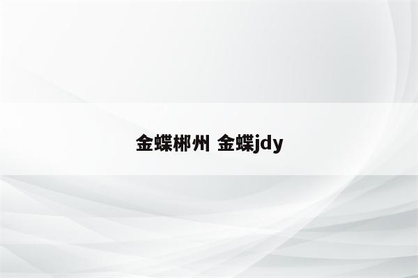 金蝶郴州 金蝶jdy