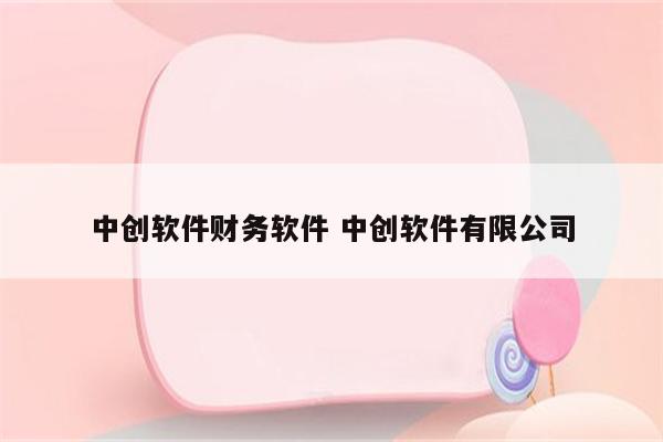 中创软件财务软件 中创软件有限公司