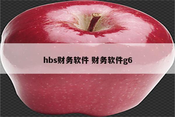 hbs财务软件 财务软件g6