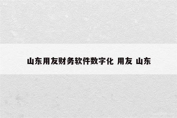 山东用友财务软件数字化 用友 山东