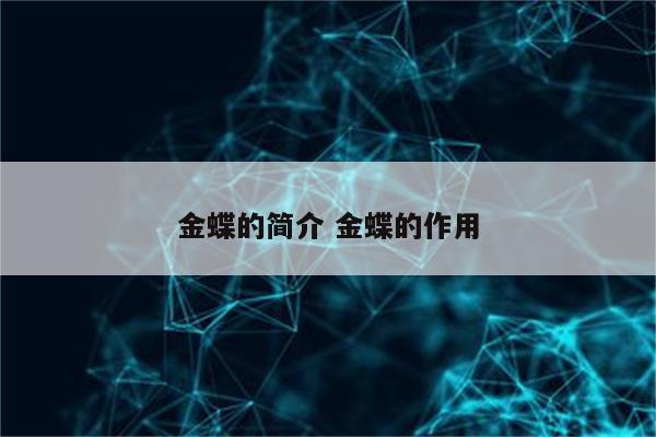 金蝶的简介 金蝶的作用