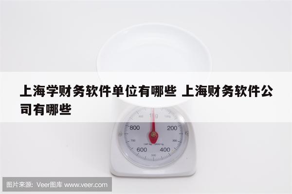 上海学财务软件单位有哪些 上海财务软件公司有哪些
