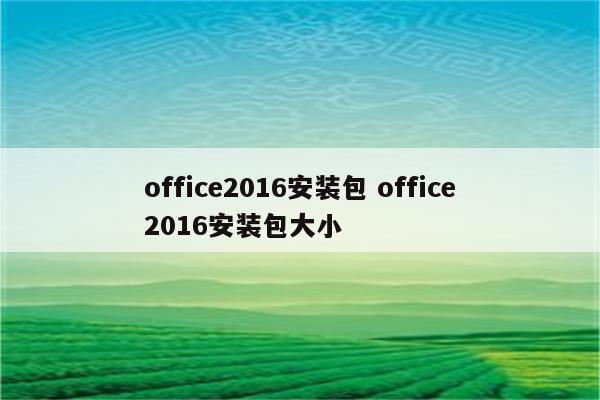 office2016安装包 office2016安装包大小