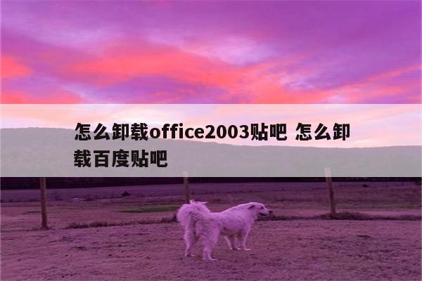 怎么卸载office2003贴吧 怎么卸载百度贴吧